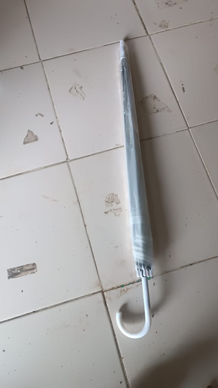 Premium Transparent Dome Umbrella with Curved Handle (1 Pc)
